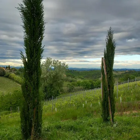 Podere Luma Gelsomino - Lavanda Çiftlik konaklama *
