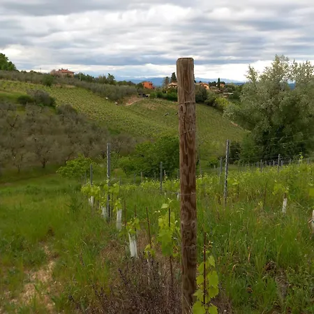 Podere Luma Gelsomino - Lavanda مزرعة للإقامة *
